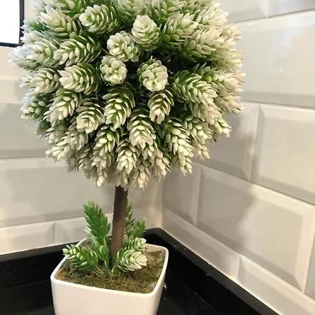 Апартаменти - Caballero De Rodas 173