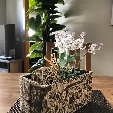 - Caballero De Rodas 173 *