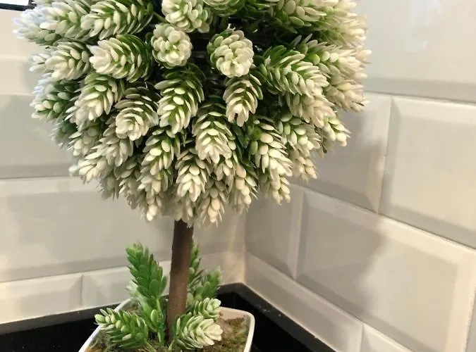 Lägenhet - Caballero De Rodas 173