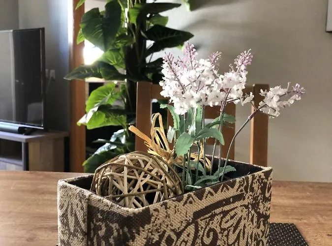 - Caballero De Rodas 173 *