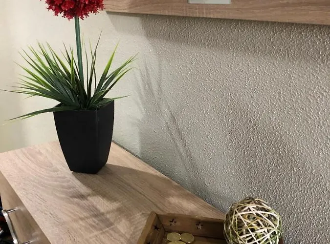 - Caballero De Rodas 173 Torrevieja