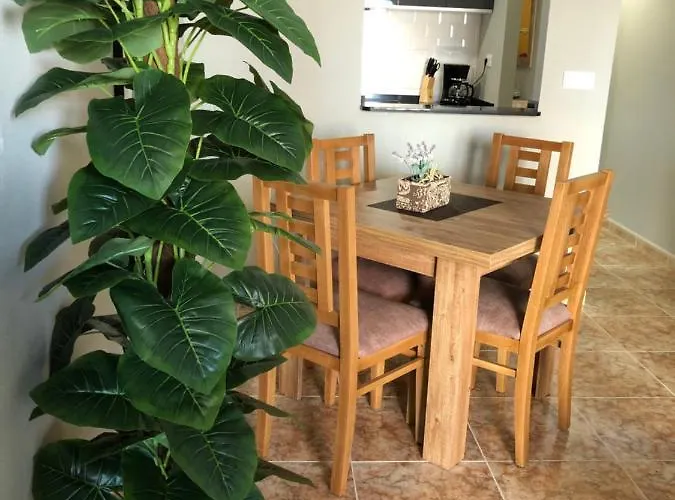 - Caballero De Rodas 173 *